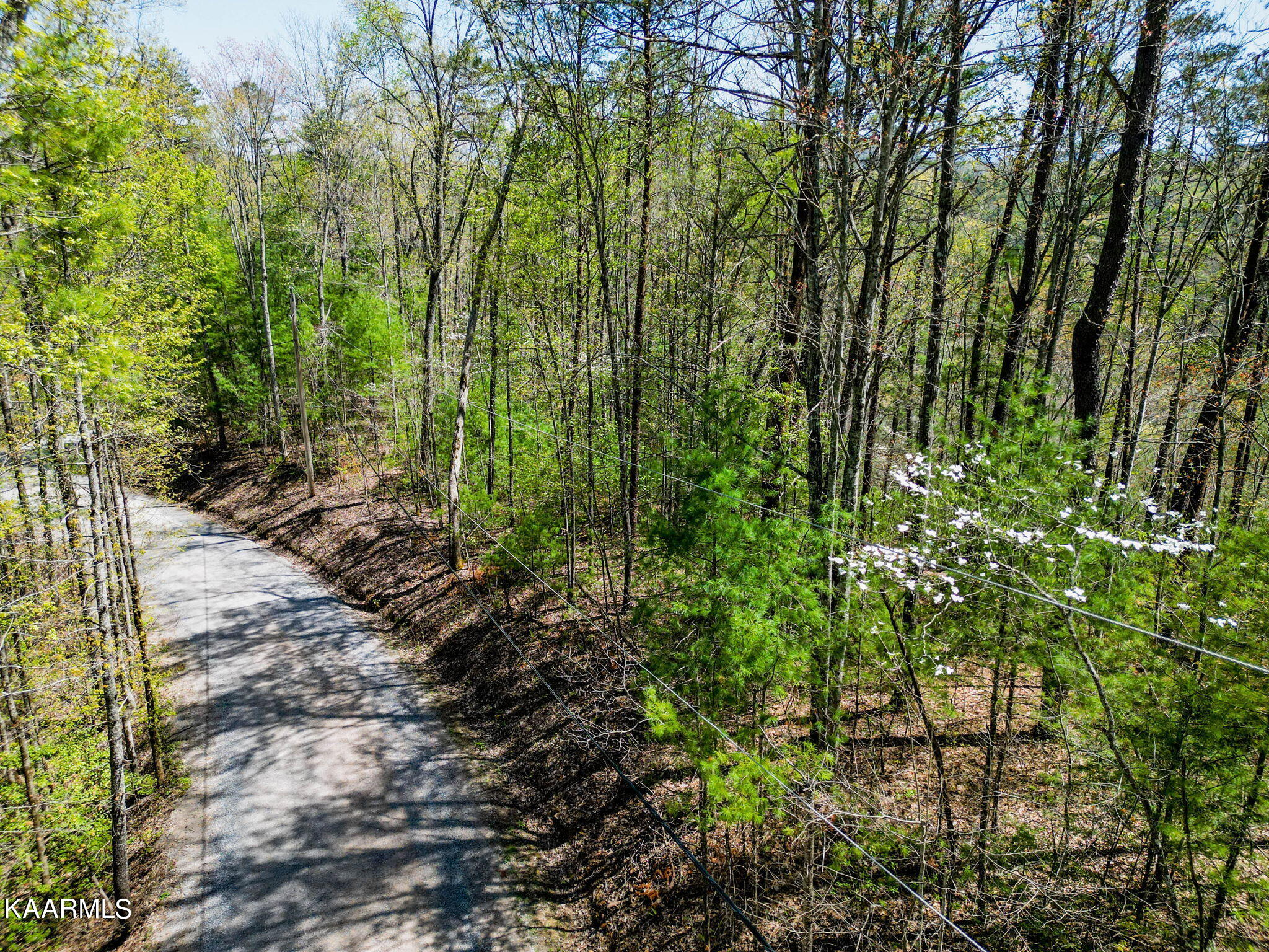 Lot 33 Oakwood Road Walland, TN 37886 - Photo 19 of 34 23-web-or-mls-DJI_0267-HDR-19