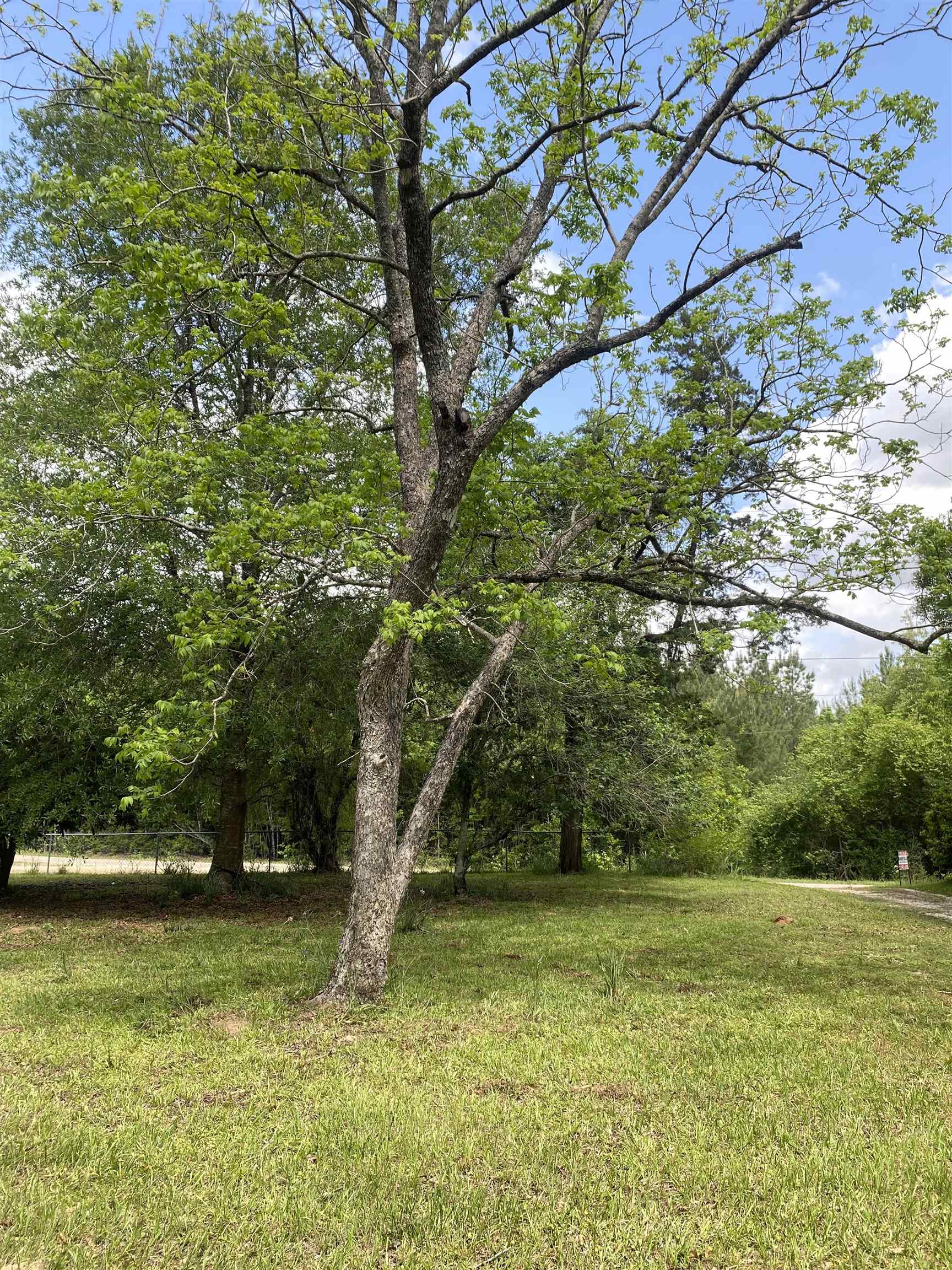 8456 McGallion Road Silsbee, TX 77656 - Photo 2 of 20