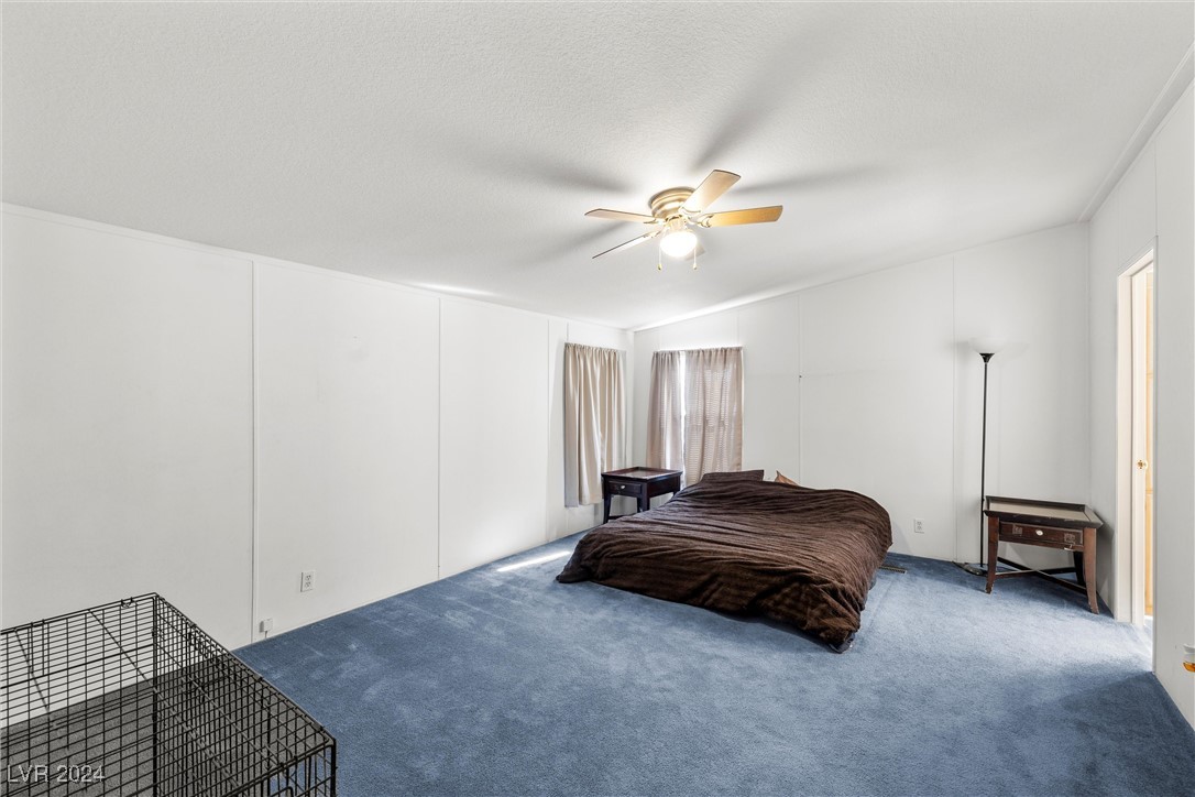 511 East Simkins Road Pahrump, NV 89060 - Photo 12 of 22 Gallery Image 12