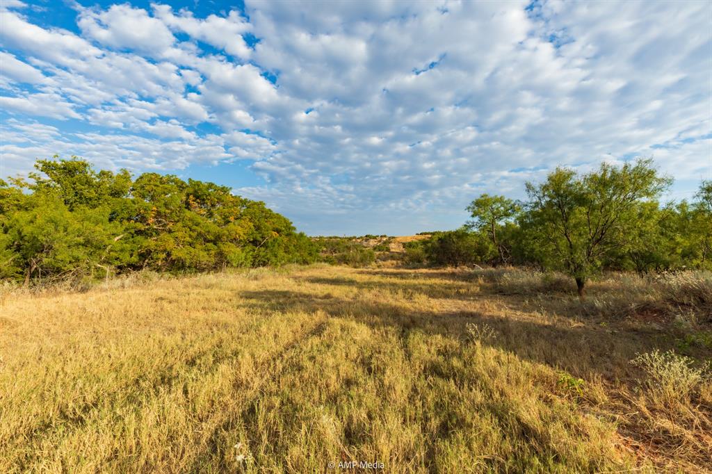 107 C R 107 Aspermont, TX 79502 - Photo 12 of 40 a view of a large yard with lots of green space