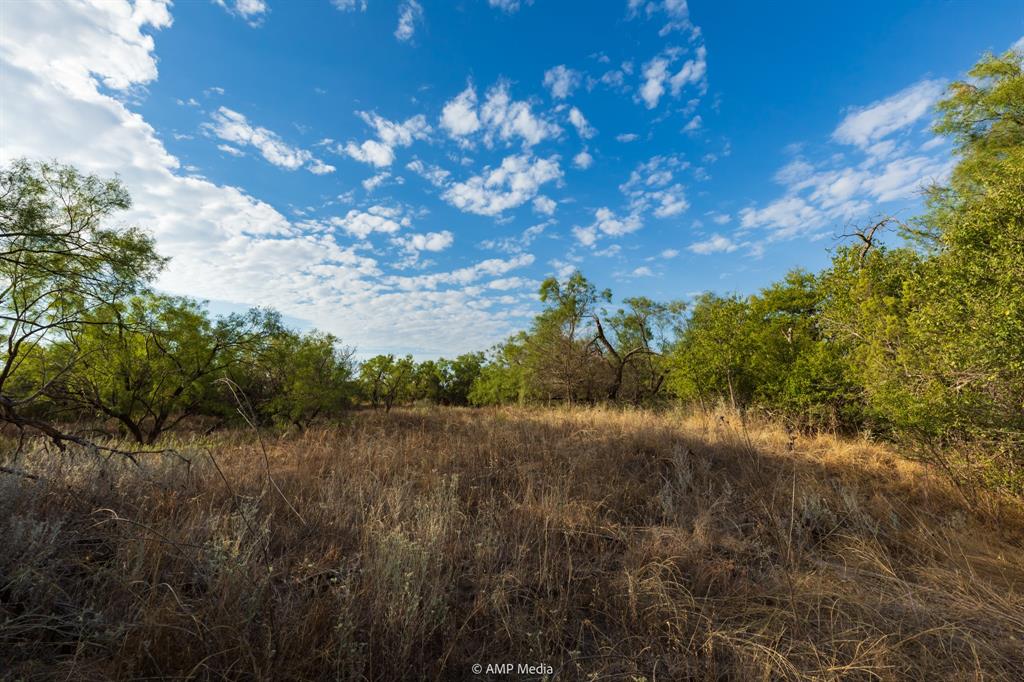 107 C R 107 Aspermont, TX 79502 - Photo 20 of 40 a view of a field of grass and trees