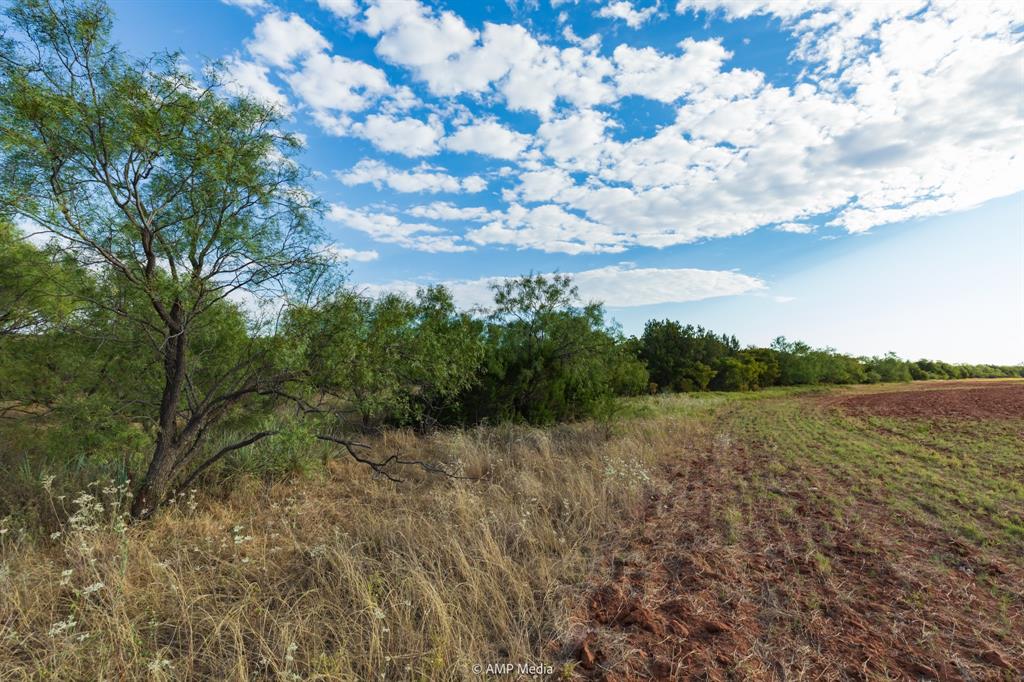 107 C R 107 Aspermont, TX 79502 - Photo 21 of 40 a view of an lake and a yard