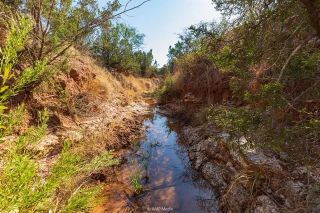 a view of a dry yard with lots of green space