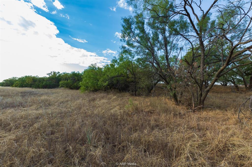 107 C R 107 Aspermont, TX 79502 - Photo 25 of 40 a view of a forest with trees in the background