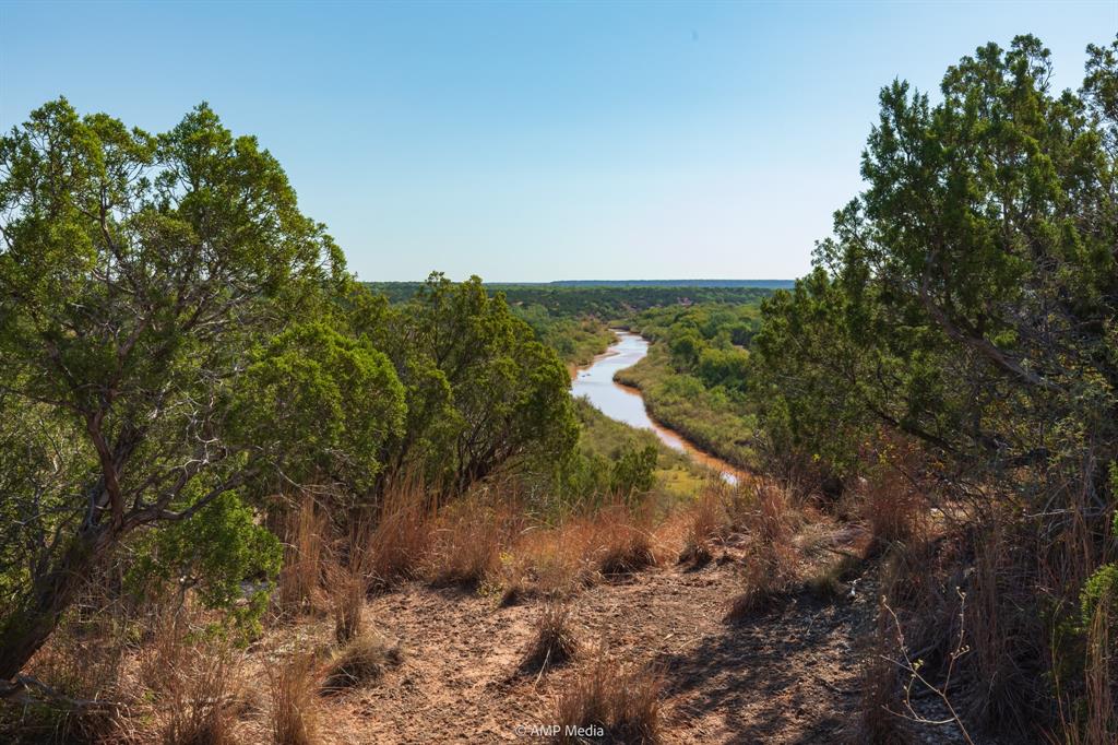 107 C R 107 Aspermont, TX 79502 - Photo 31 of 40 a view of a yard with plants and a tree