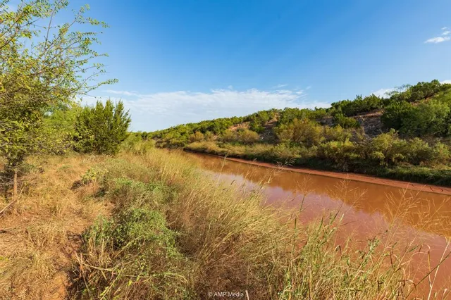 a view of a bunch of trees in a field