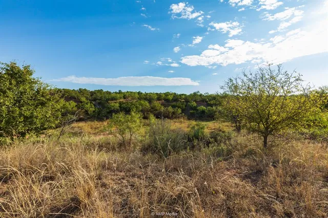 a view of a lake in a forest