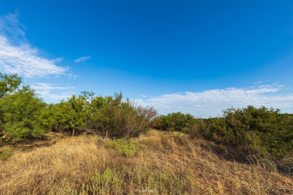 107 C R 107 Aspermont, TX 79502 - Photo 35 of 40 a view of a bunch of trees in a field