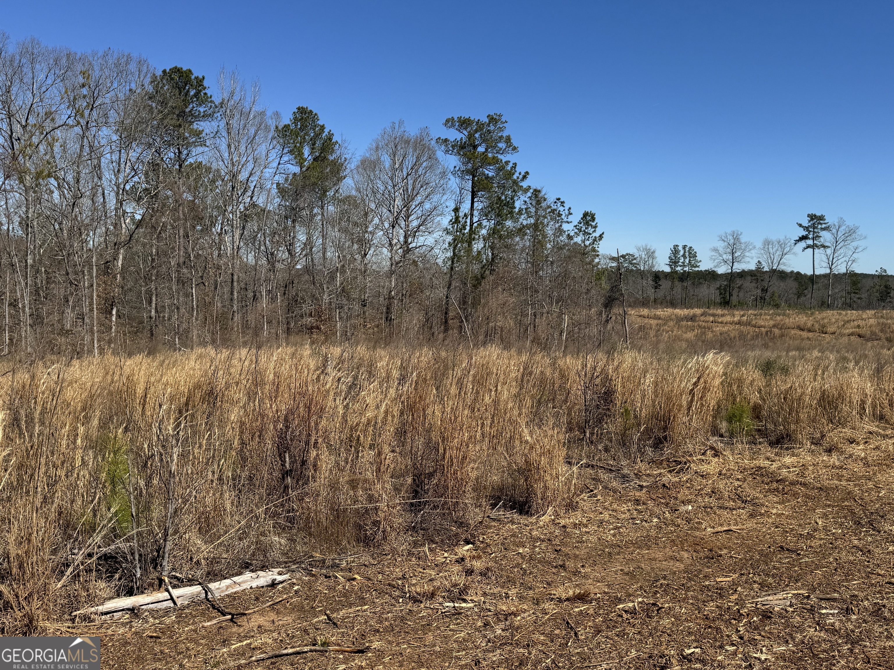 0 Faulkner Road, Unit LOT 7 Monticello, GA 31064 - Photo 1 of 1 Gallery Image 1
