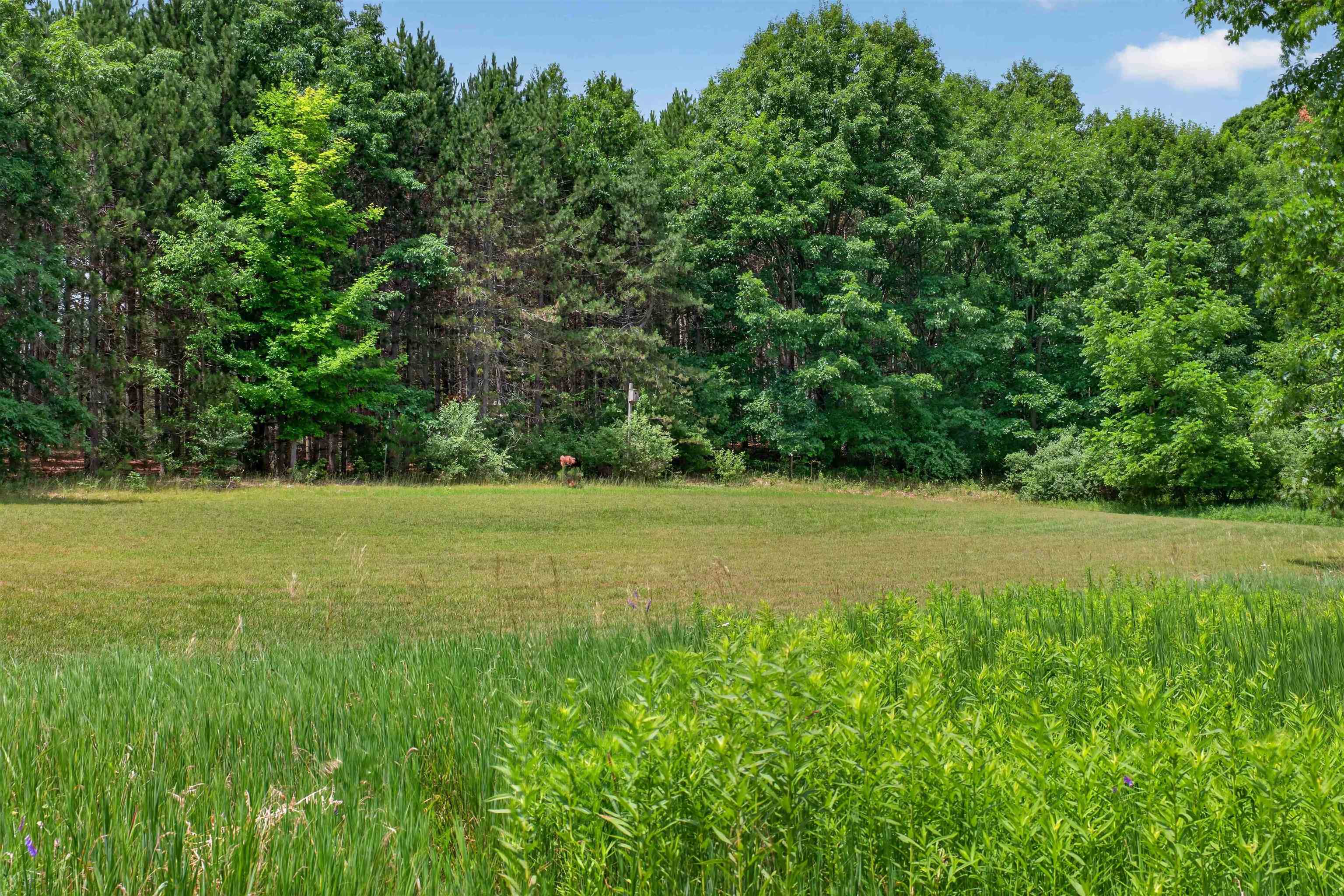 4245 Cassidy Road Gladwin, MI 48624 - Photo 44 of 49