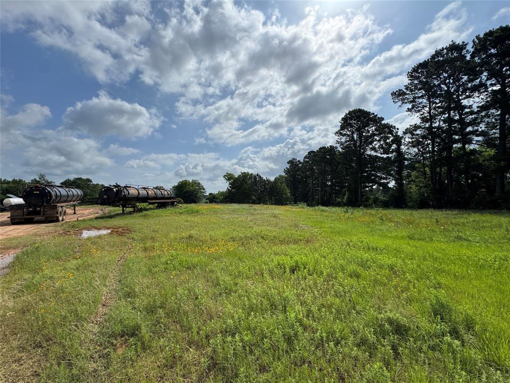 7262 County Road Carthage, TX 75633 - Photo 15 of 39