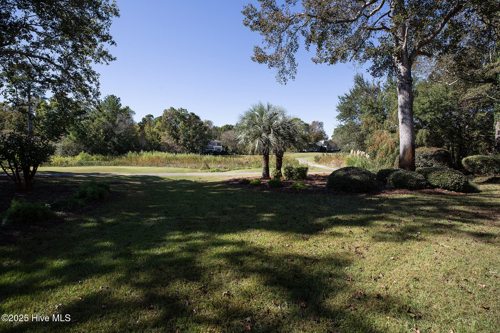 2404 Ocean Point Place Wilmington, NC 28405 - Photo 57 of 66 OceanPoint2404-backL33A5495 copy