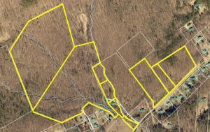 0 Clear Spring Road Catawba, VA 24070 - Photo 1 of 1 Several Lots Included