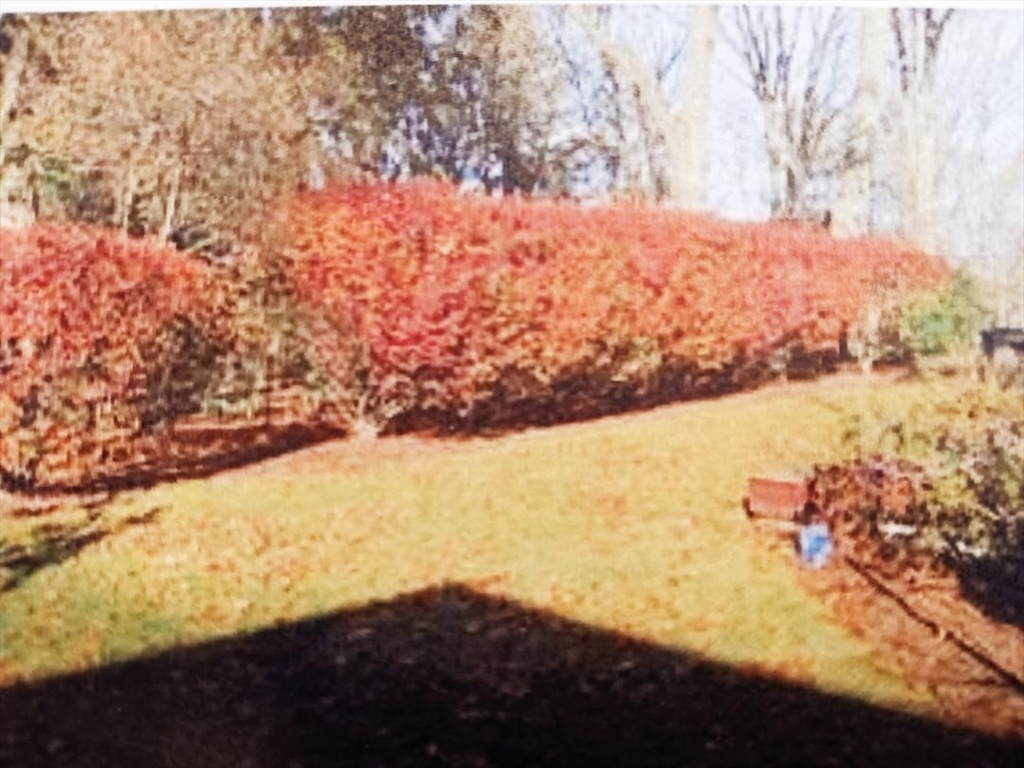 133 Winslow Road, Unit 133 Waban, MA 02468 - Photo 24 of 27