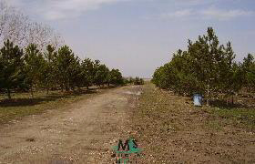 365 East Stilson Road Peck, MI 48466 - Photo 3 of 7 216491-2.JPG