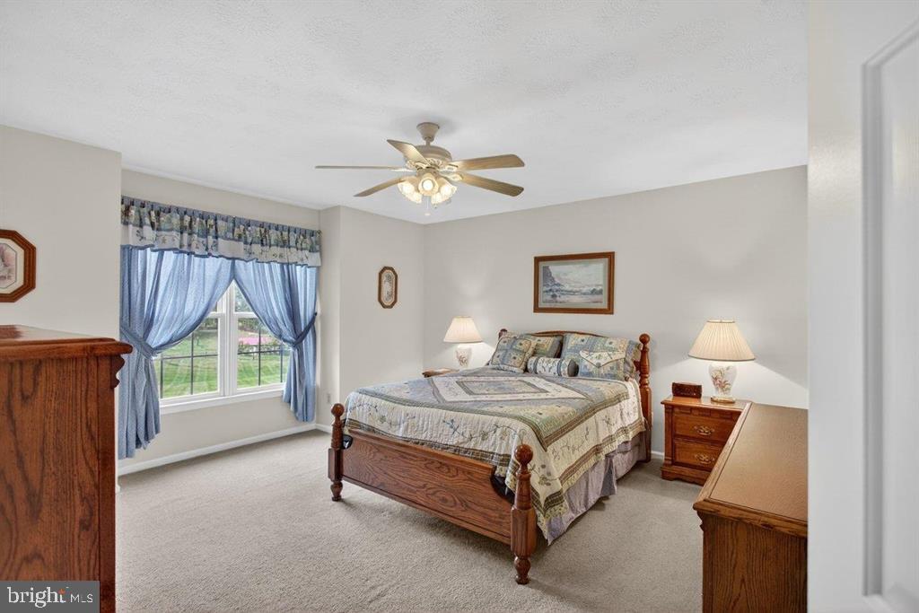 2220 Pine Woods Road Quicksburg, VA 22847 - Photo 40 of 55