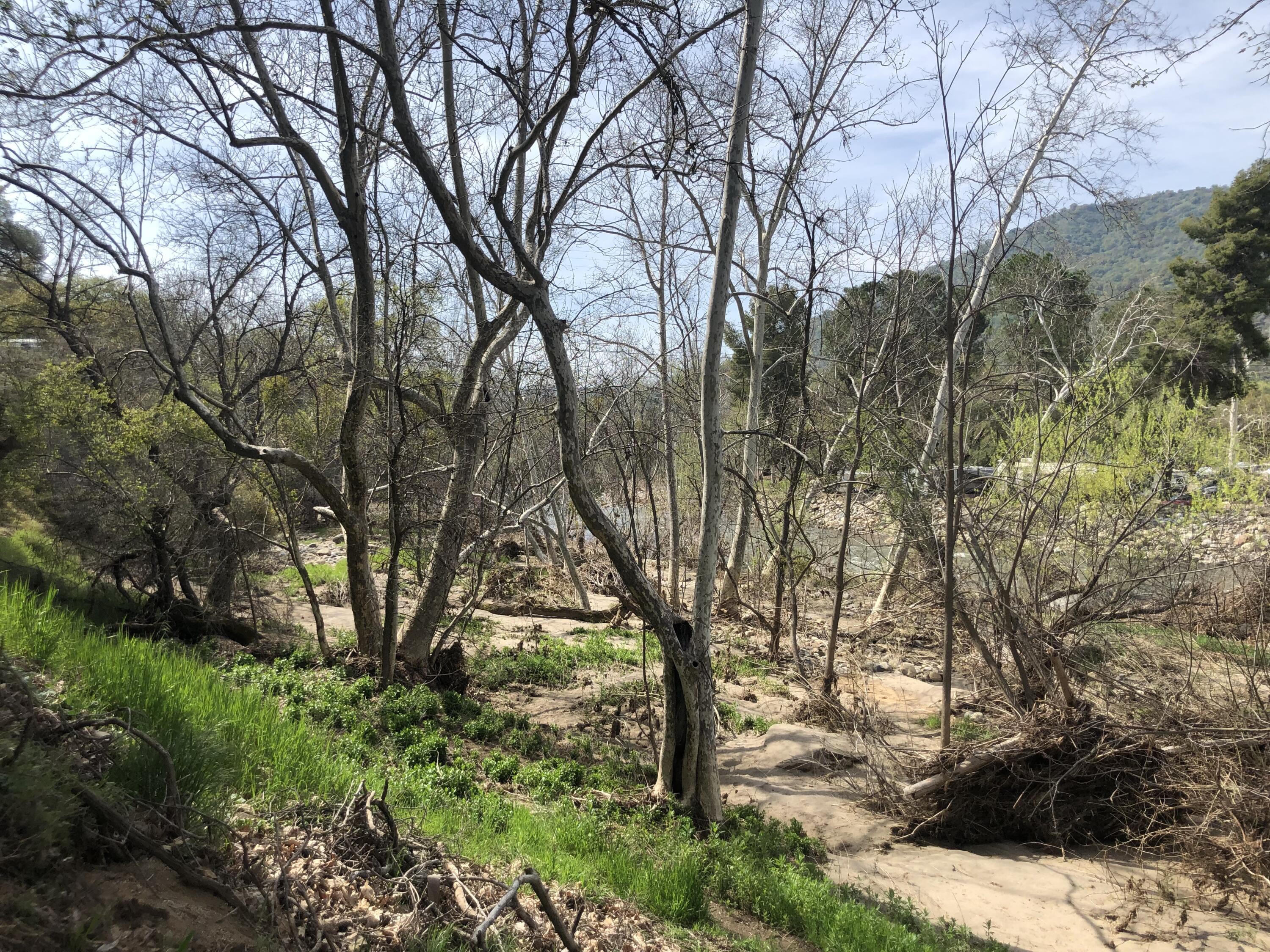 0 North Kaweah River Drive Three Rivers, CA 93271 - Photo 17 of 78 IMG_7915