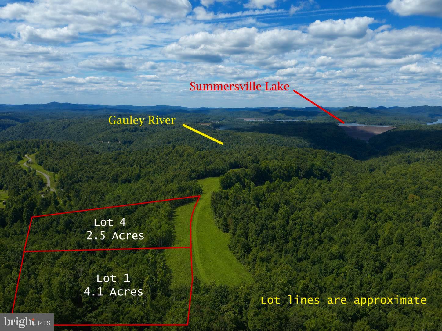 Lot 1 Gauley Ridge Rd Mount Mount Nebo, WV 26679 - Photo 1 of 15 a sign on the side of the road