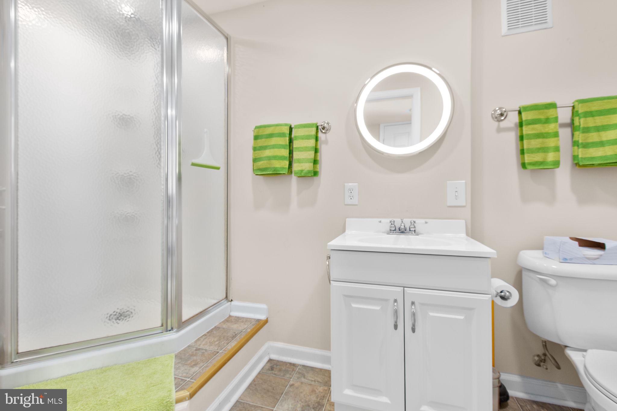5825 Morris Road Spotsylvania, VA 22551 - Photo 52 of 120 Lower level full bathroom