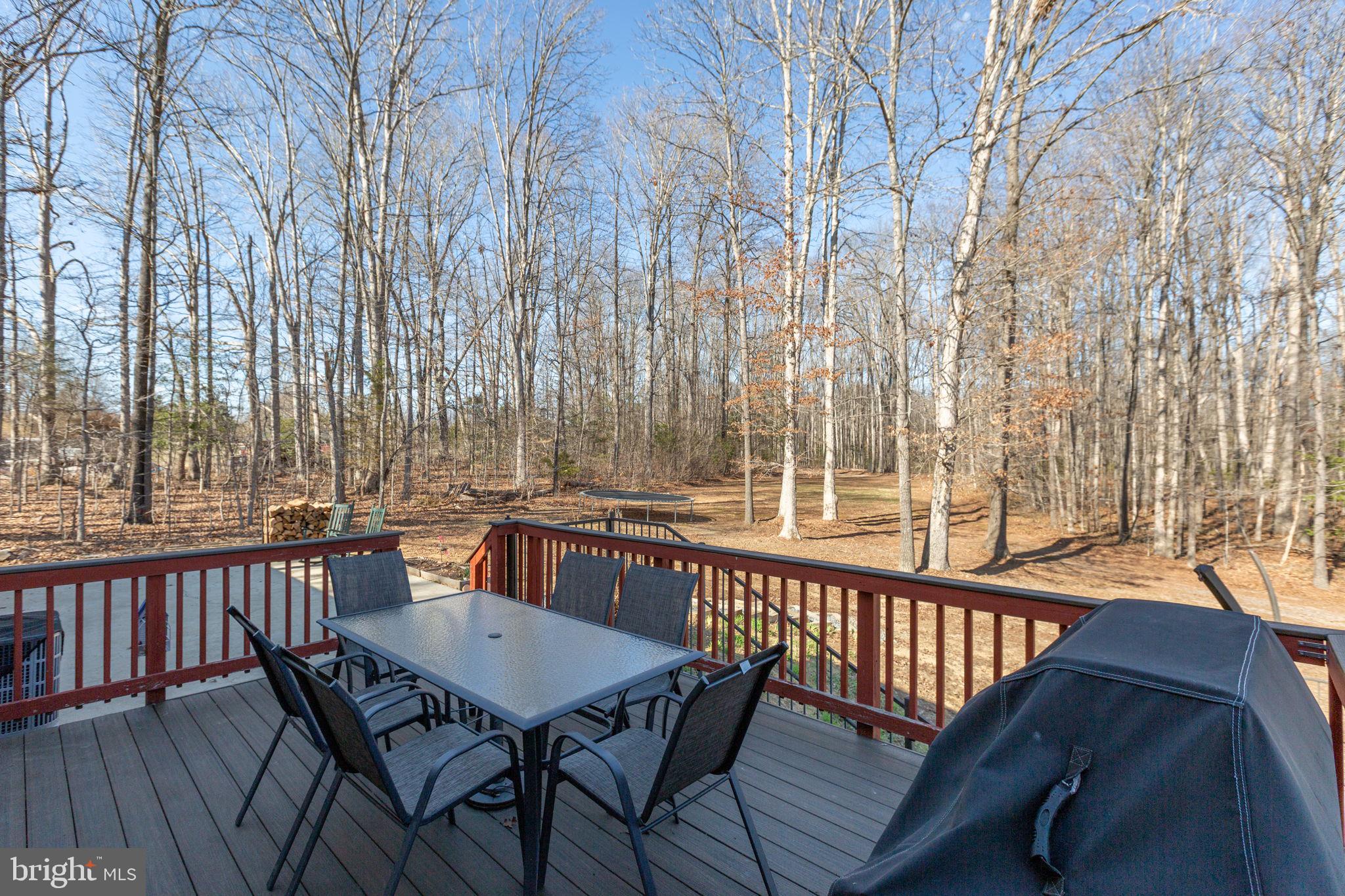 5825 Morris Road Spotsylvania, VA 22551 - Photo 65 of 120 Back deck