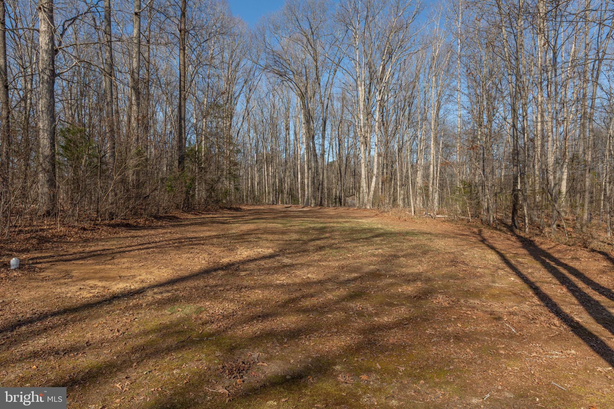5825 Morris Road Spotsylvania, VA 22551 - Photo 81 of 120 Rear yard
