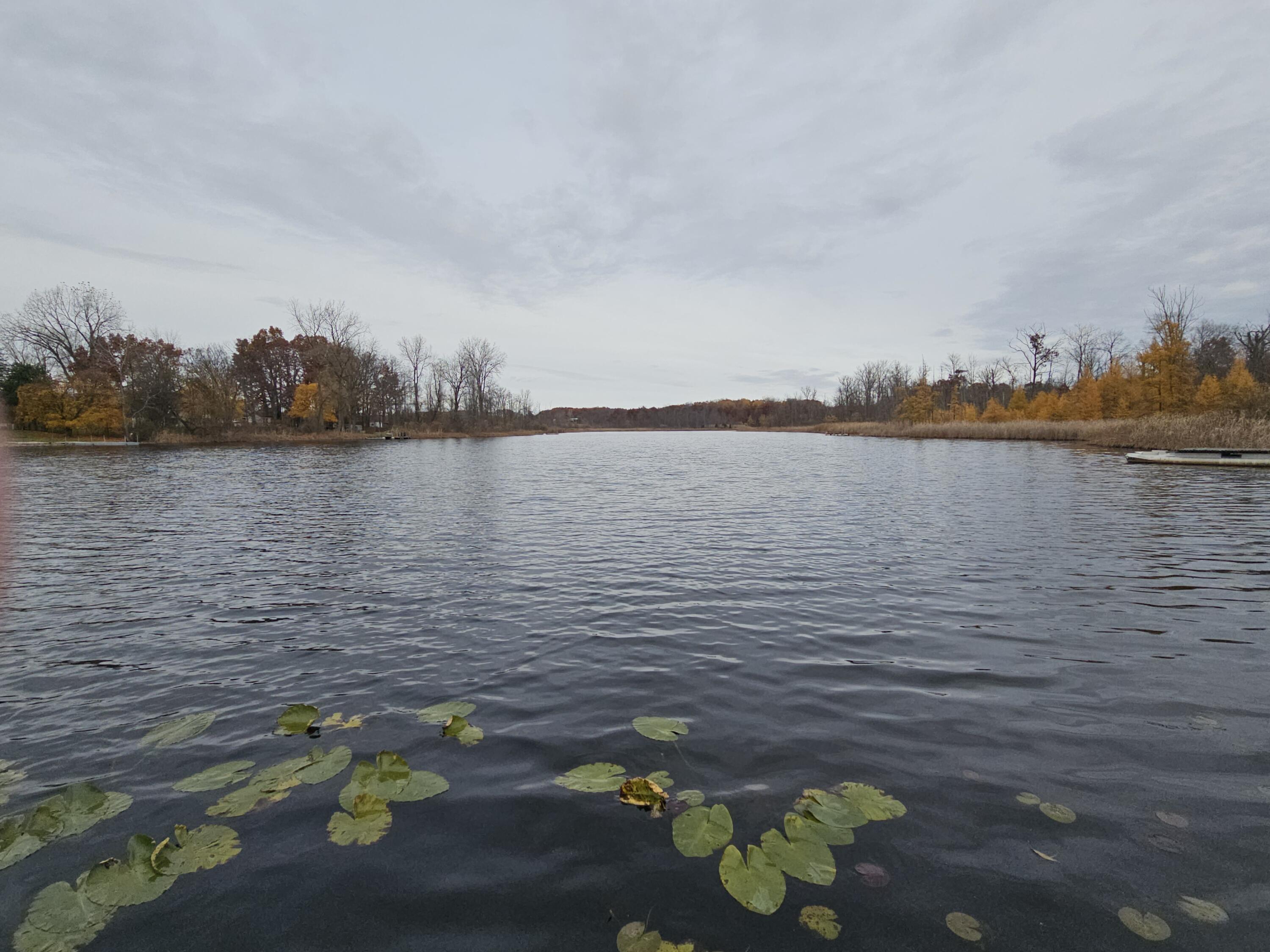 4725 East Sager Road Hastings, MI 49058 - Photo 59 of 61 20251108_134453