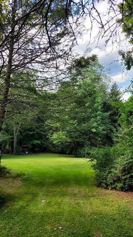 369 Mink Brook Road Downsville, NY 13755 - Photo 13 of 19 Gallery Image 13