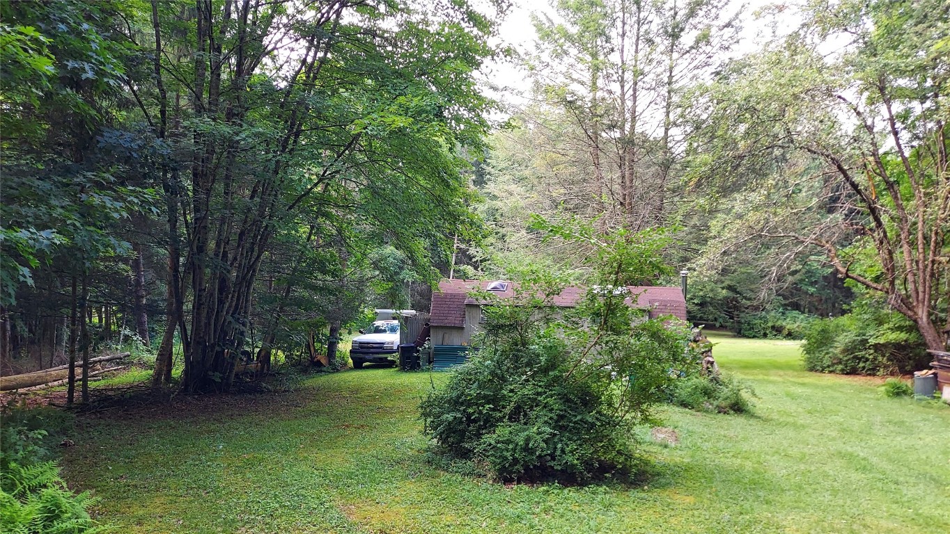 369 Mink Brook Road Downsville, NY 13755 - Photo 14 of 19 Gallery Image 14