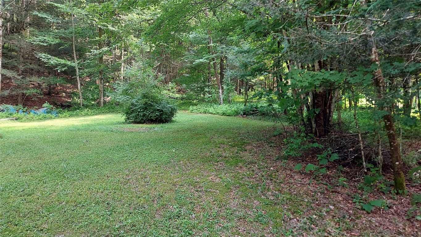 369 Mink Brook Road Downsville, NY 13755 - Photo 15 of 19 Gallery Image 15