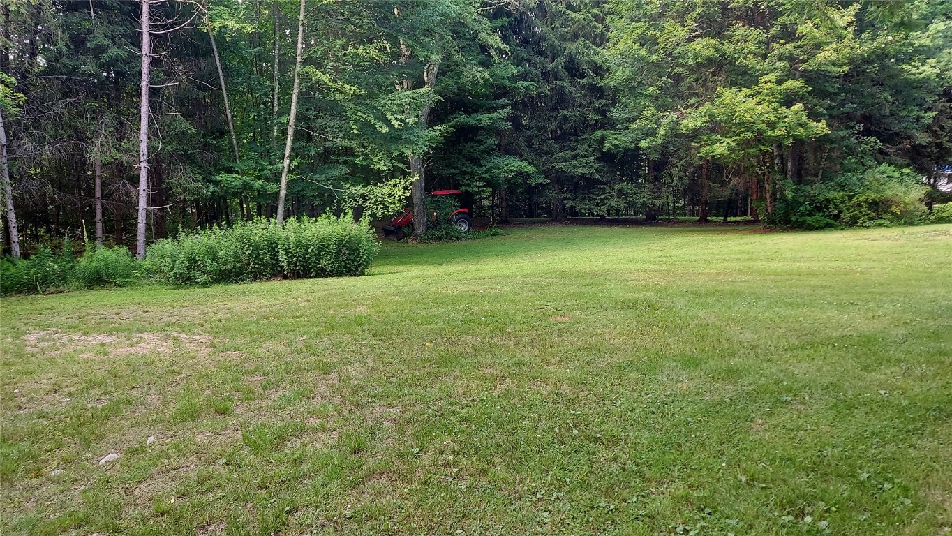 369 Mink Brook Road Downsville, NY 13755 - Photo 16 of 19 Gallery Image 16