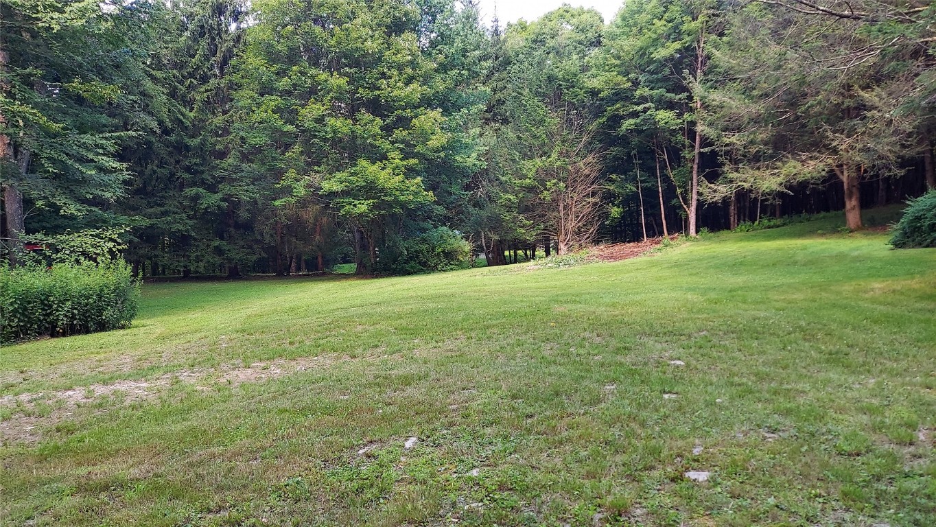 369 Mink Brook Road Downsville, NY 13755 - Photo 17 of 19 Gallery Image 17