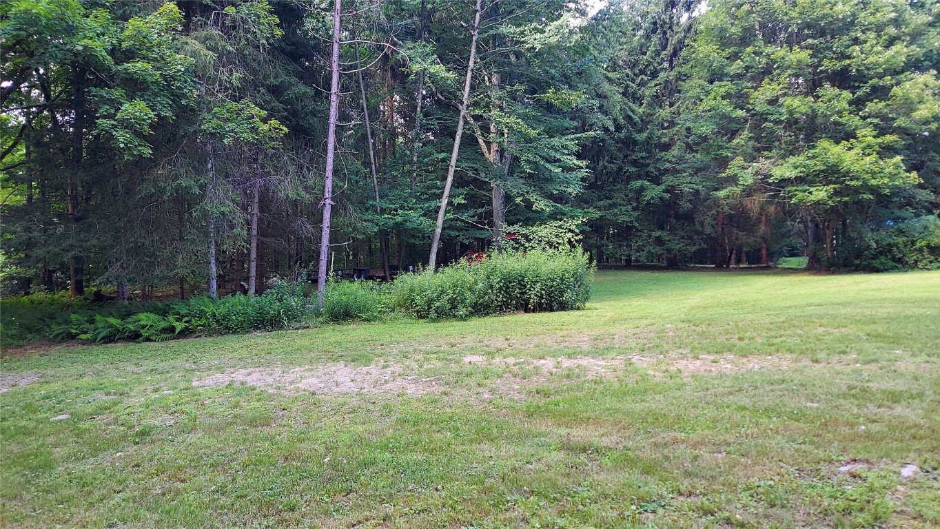 369 Mink Brook Road Downsville, NY 13755 - Photo 18 of 19 Gallery Image 18
