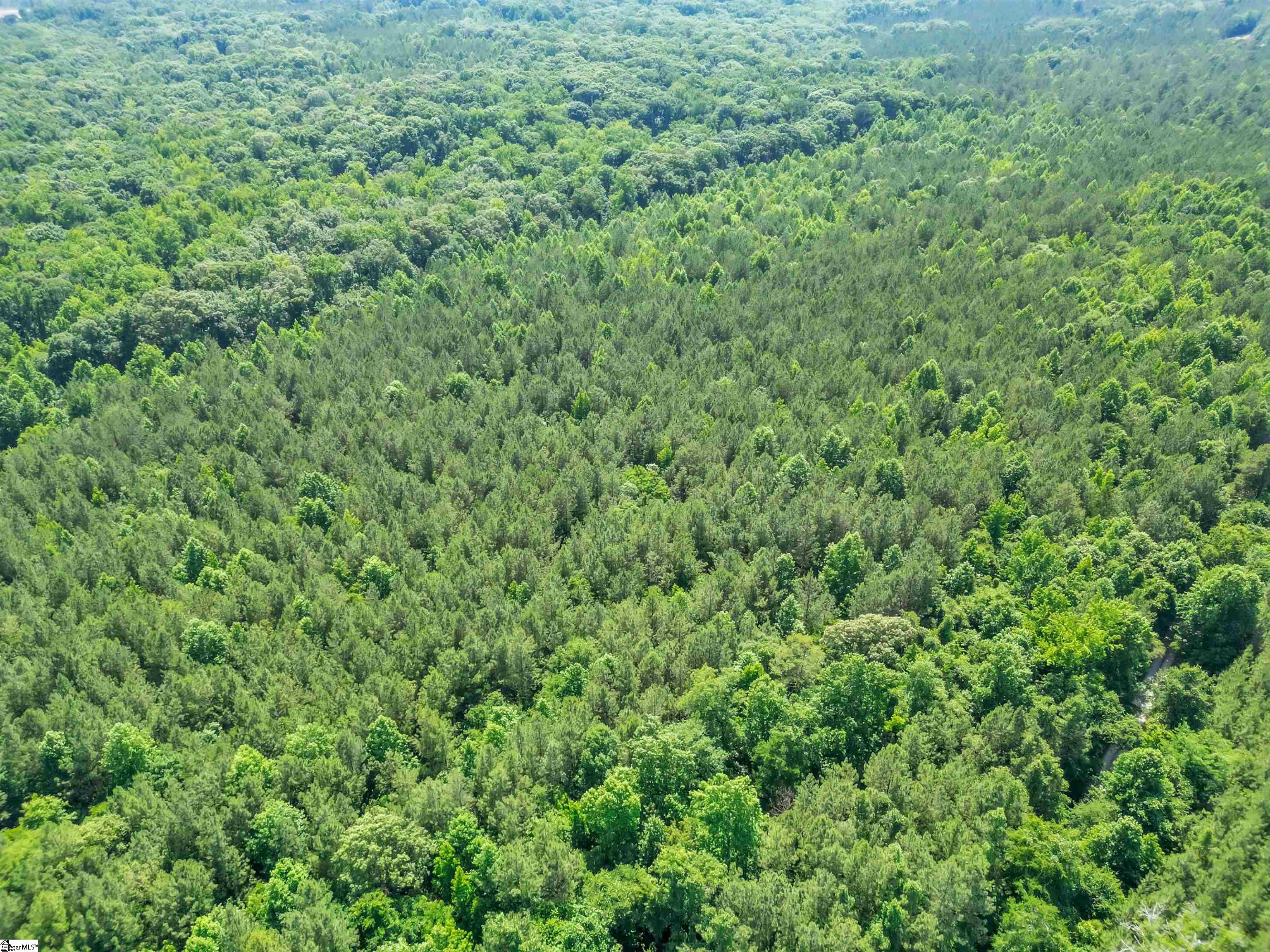 0 Simpson Mill Road Laurens, SC 29360 - Photo 8 of 20