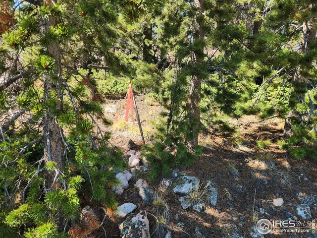 $149,900 | 13729 Pingree Park Road, Bellvue, CO 80512