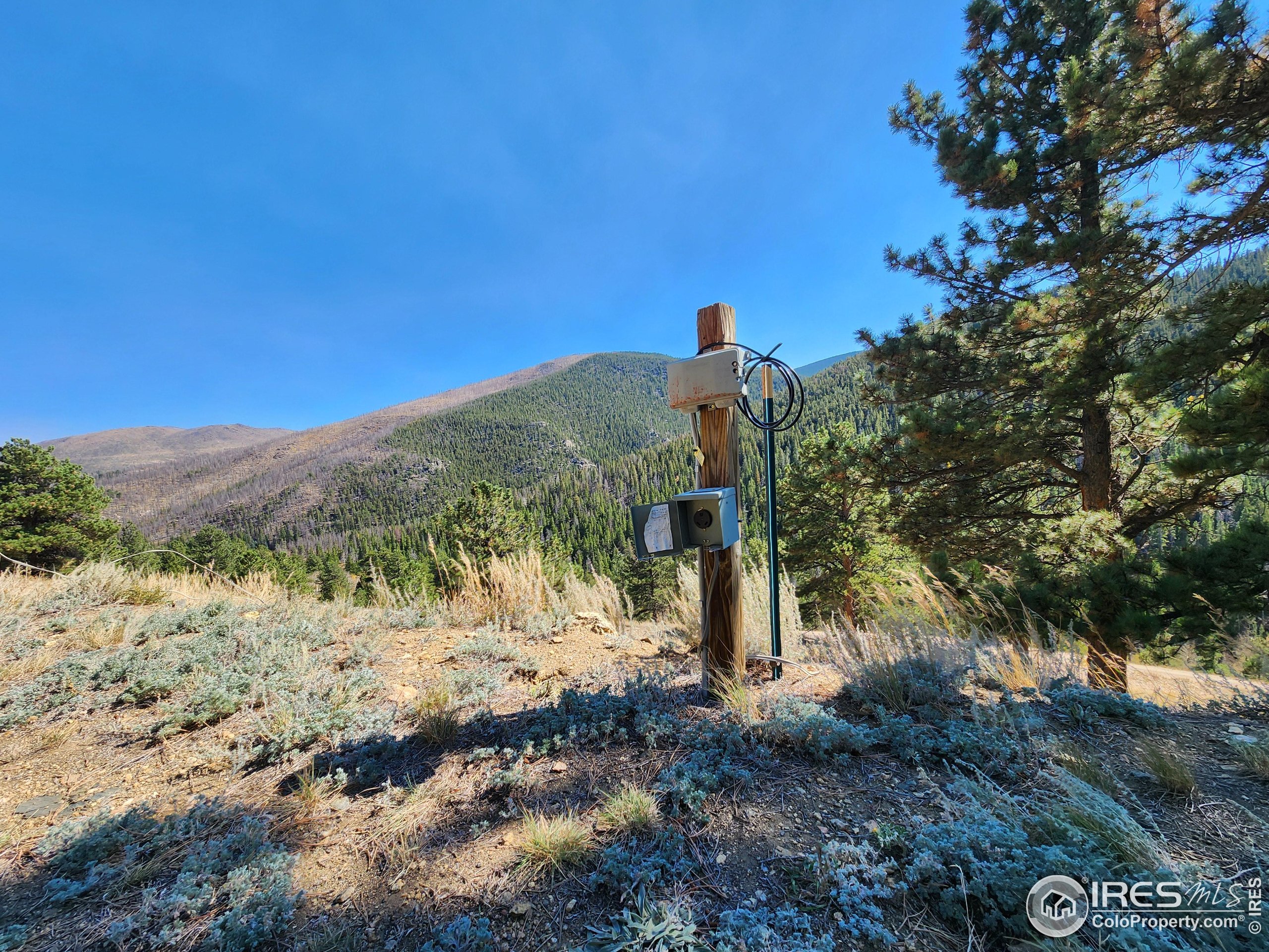 13729 Pingree Park Road Bellvue, CO 80512 - Photo 13 of 29