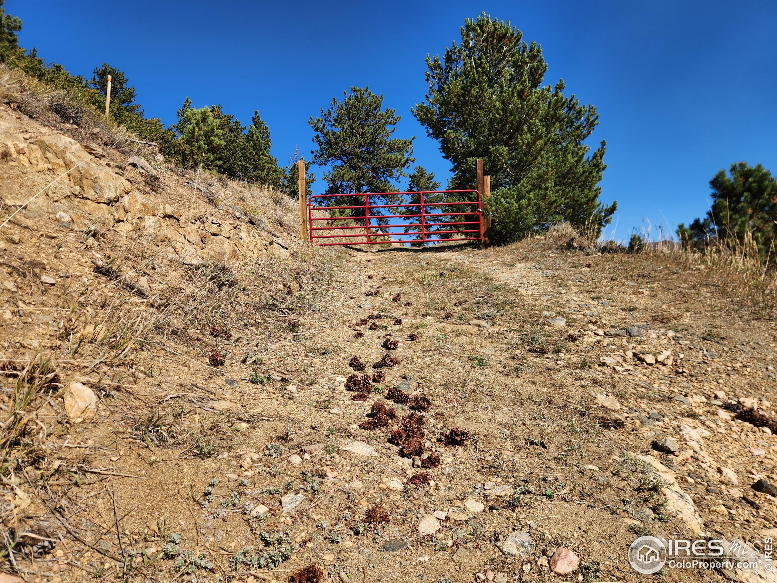 13729 Pingree Park Road Bellvue, CO 80512 - Photo 18 of 29