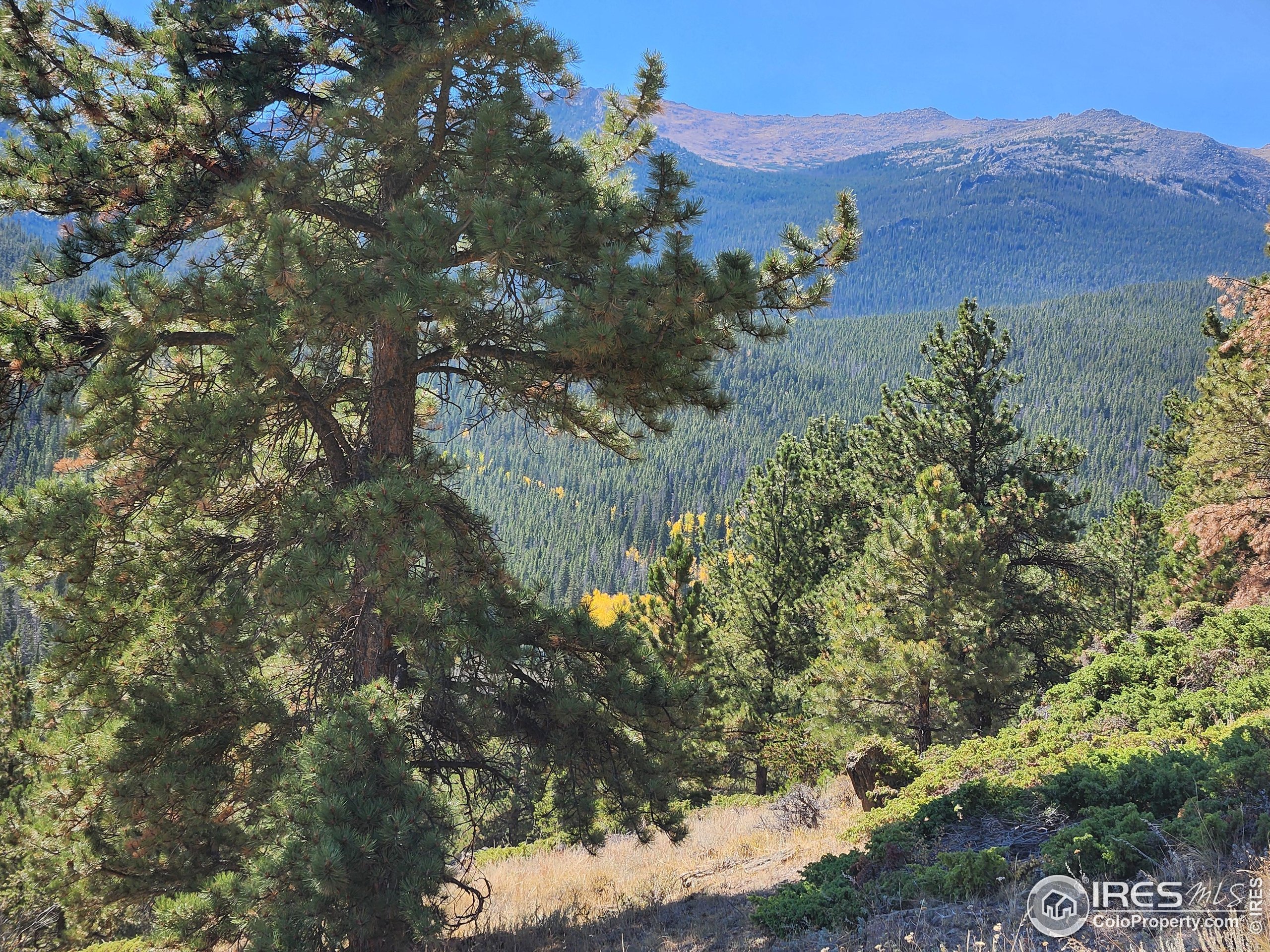 13729 Pingree Park Road Bellvue, CO 80512 - Photo 2 of 29