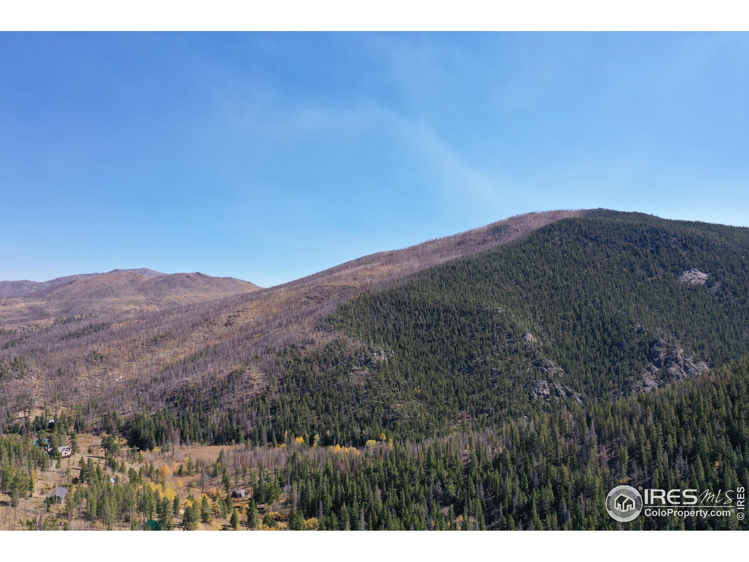 13729 Pingree Park Road Bellvue, CO 80512 - Photo 21 of 29