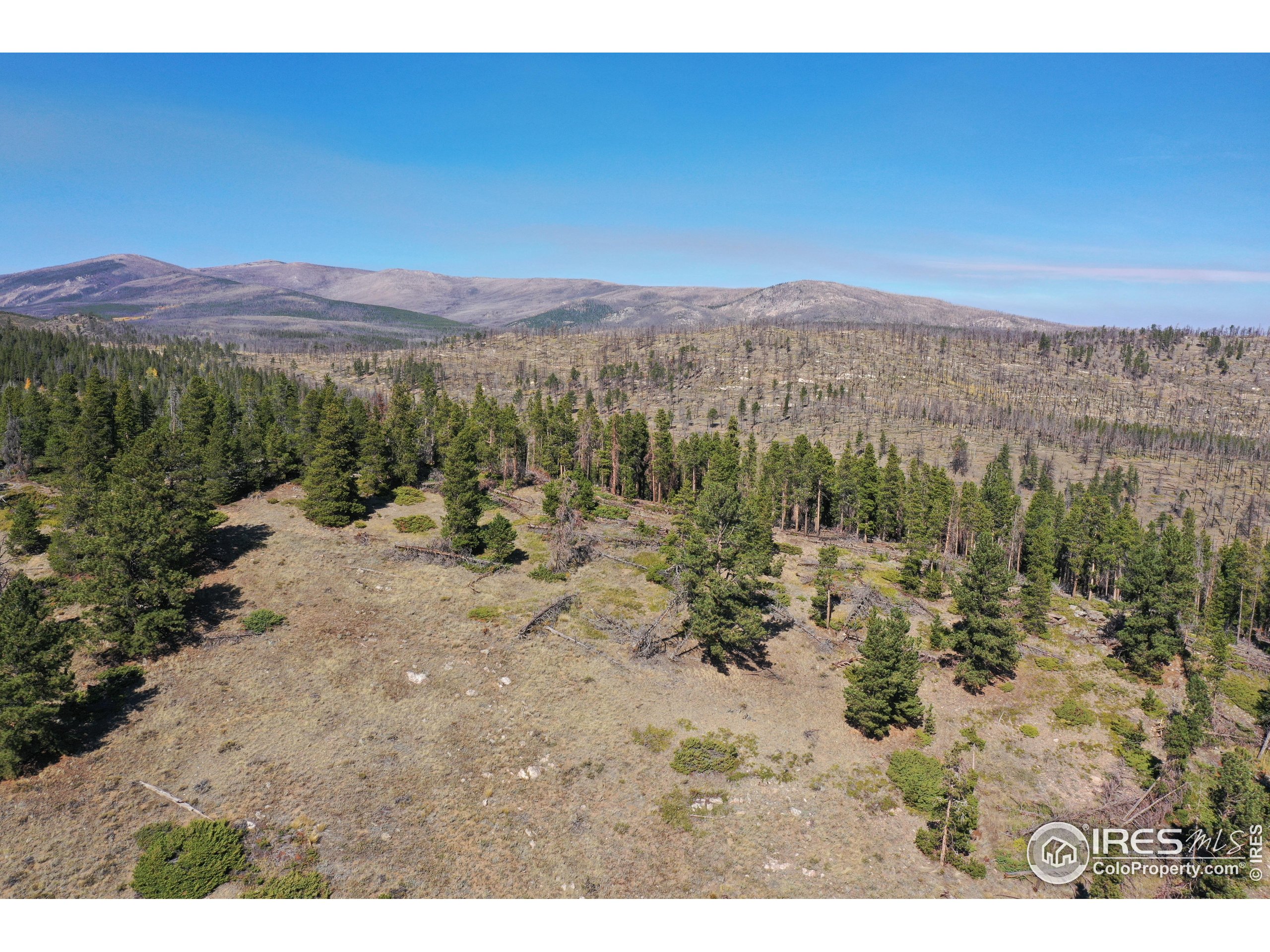 13729 Pingree Park Road Bellvue, CO 80512 - Photo 28 of 29