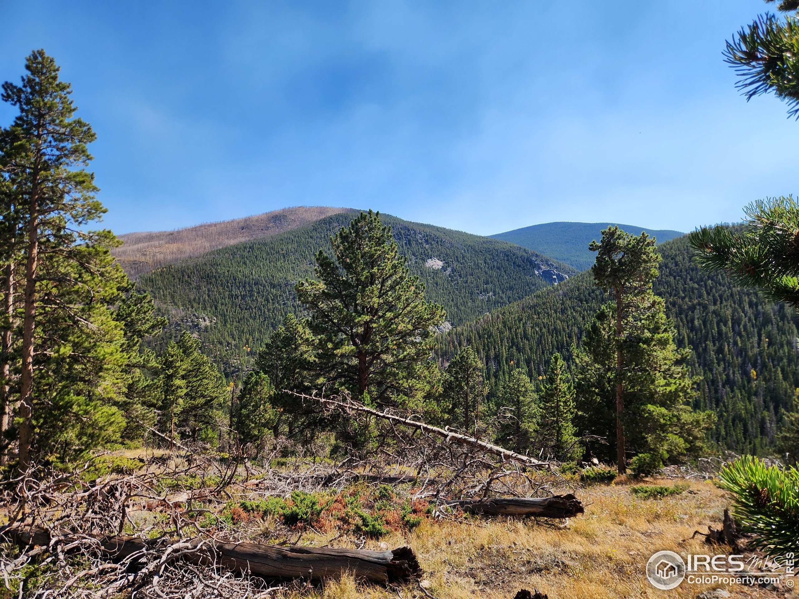 13729 Pingree Park Road Bellvue, CO 80512 - Photo 4 of 29