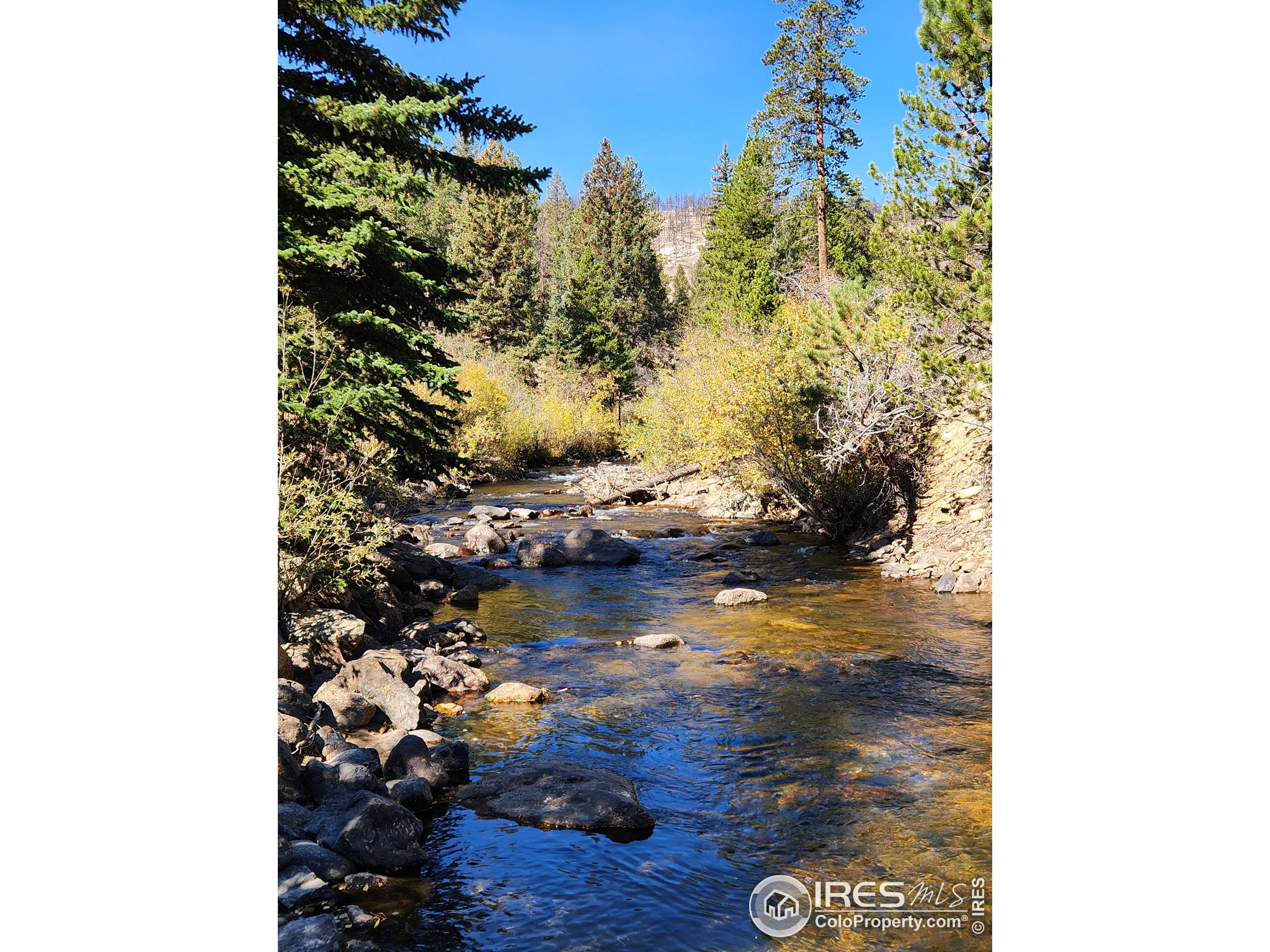 13729 Pingree Park Road Bellvue, CO 80512 - Photo 8 of 29