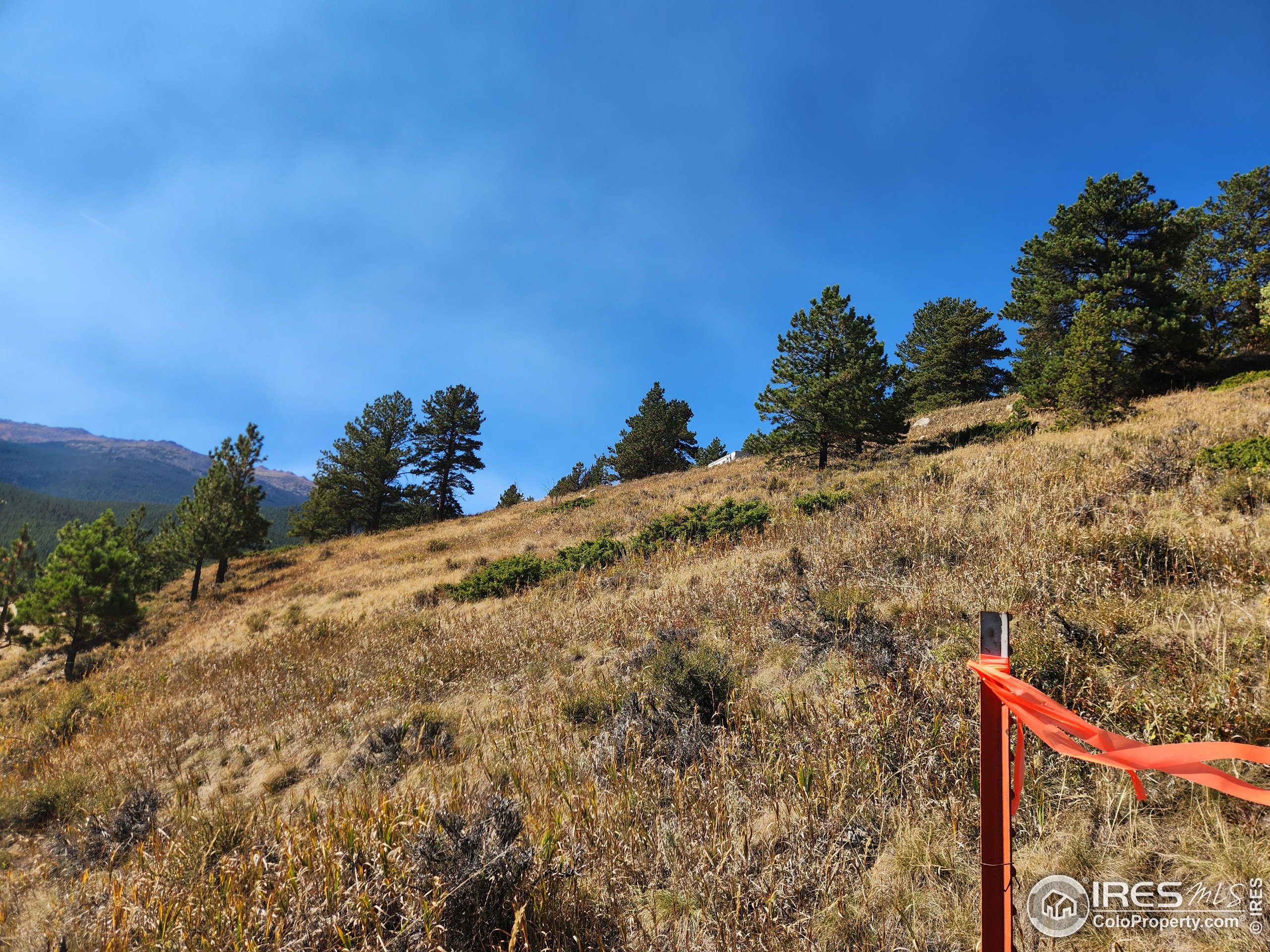 13729 Pingree Park Road Bellvue, CO 80512 - Photo 10 of 29