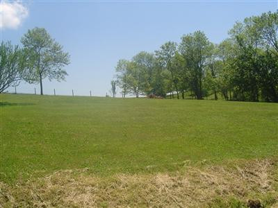 1880 Log Lick Road Winchester, KY 40391 - Photo 19 of 20 Just right! A big enough yard and sense