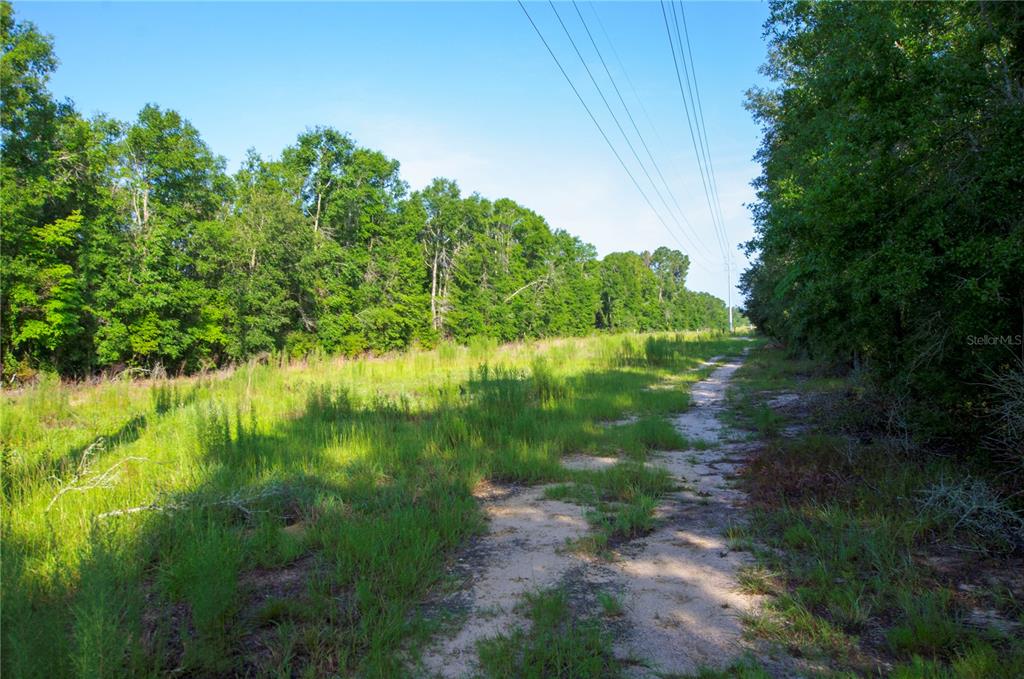 18233 185th Road Live Oak, FL 32060 - Photo 65 of 99 a backyard of a house with lots of green space