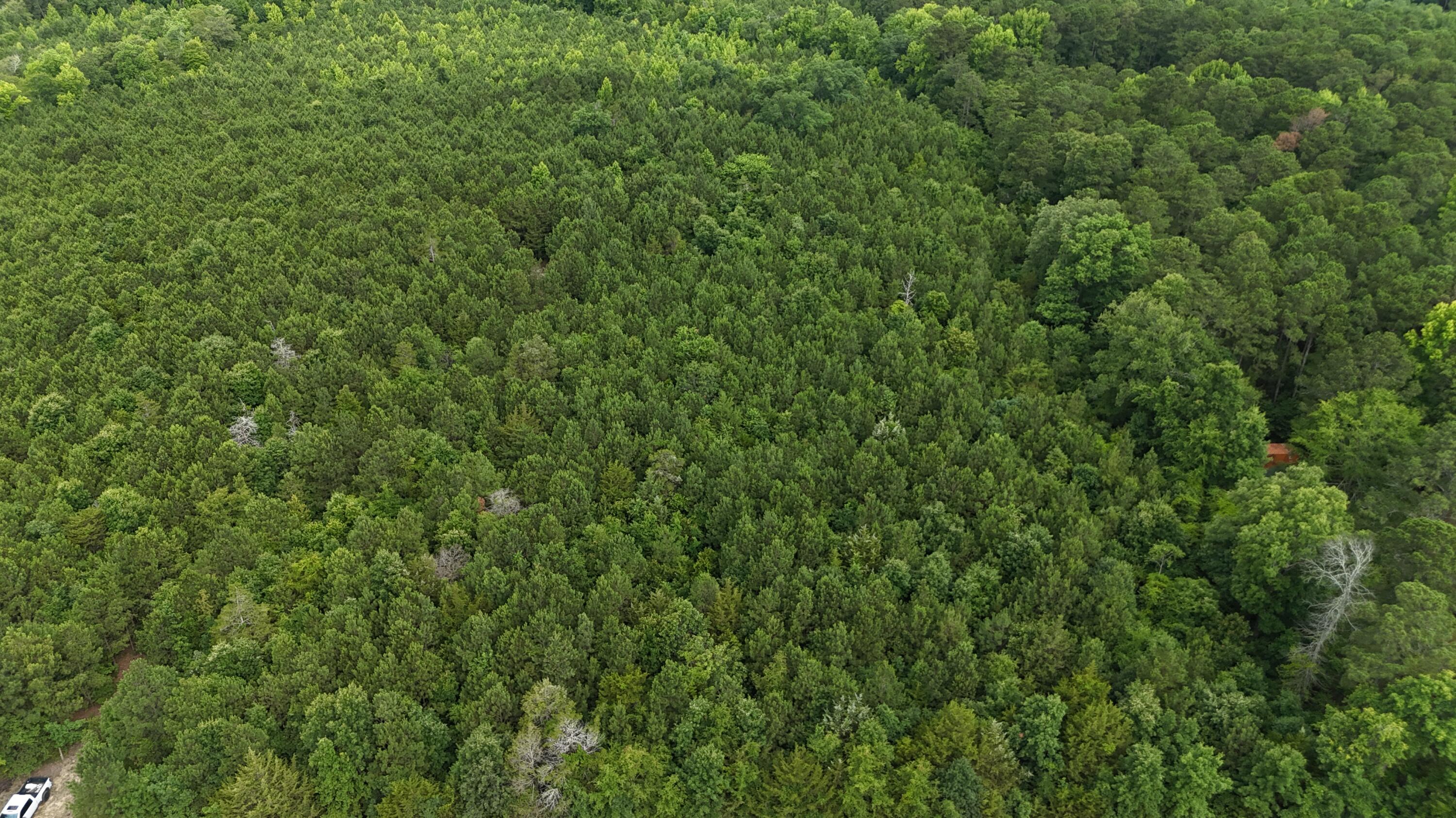 0 Stagecoach Rd Exn Drive Thomson, GA 30824 - Photo 11 of 22 DJI_20240603095530_0039_D