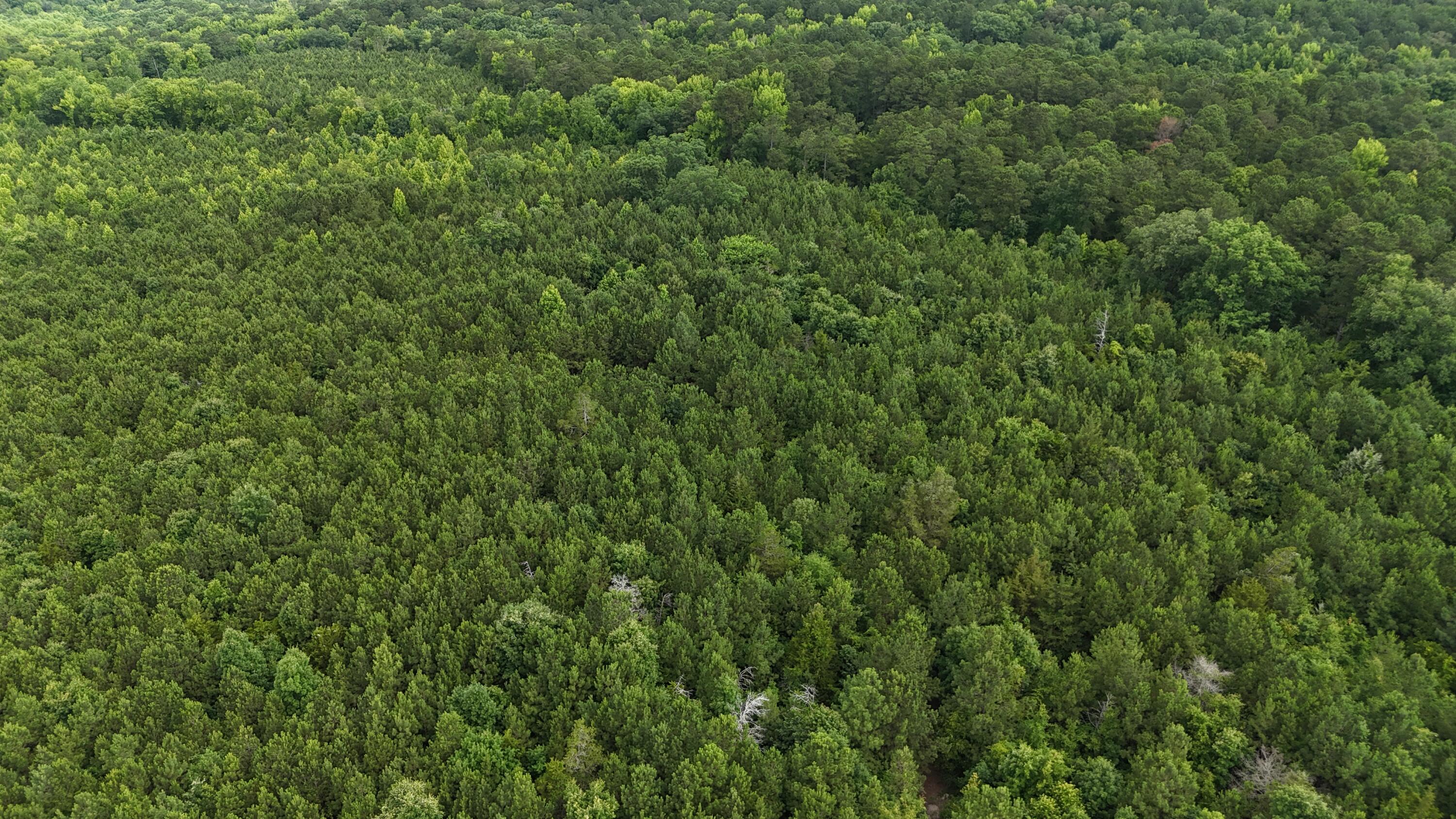 0 Stagecoach Rd Exn Drive Thomson, GA 30824 - Photo 12 of 22 DJI_20240603095435_0036_D