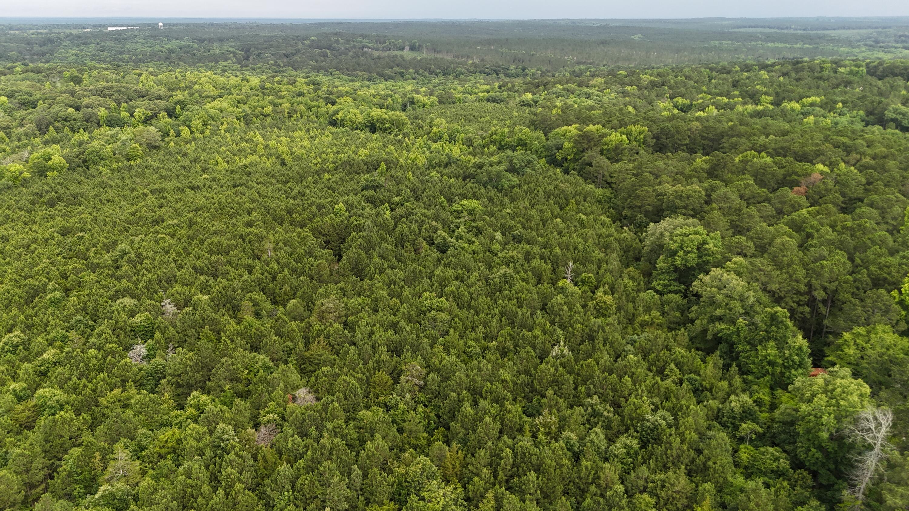 0 Stagecoach Rd Exn Drive Thomson, GA 30824 - Photo 16 of 22 DJI_20240603095521_0038_D