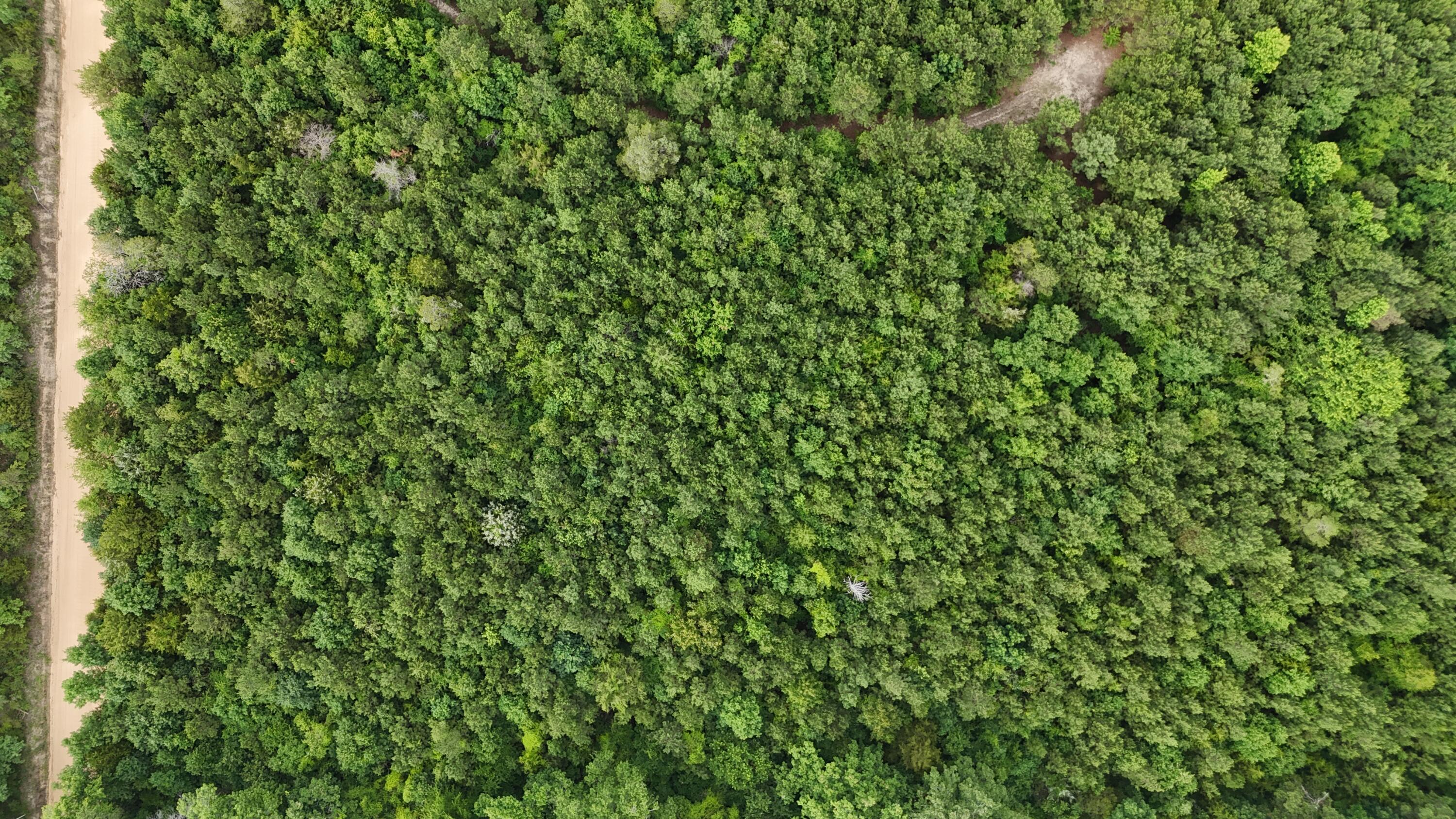 0 Stagecoach Rd Exn Drive Thomson, GA 30824 - Photo 17 of 22 DJI_20240603095641_0041_D