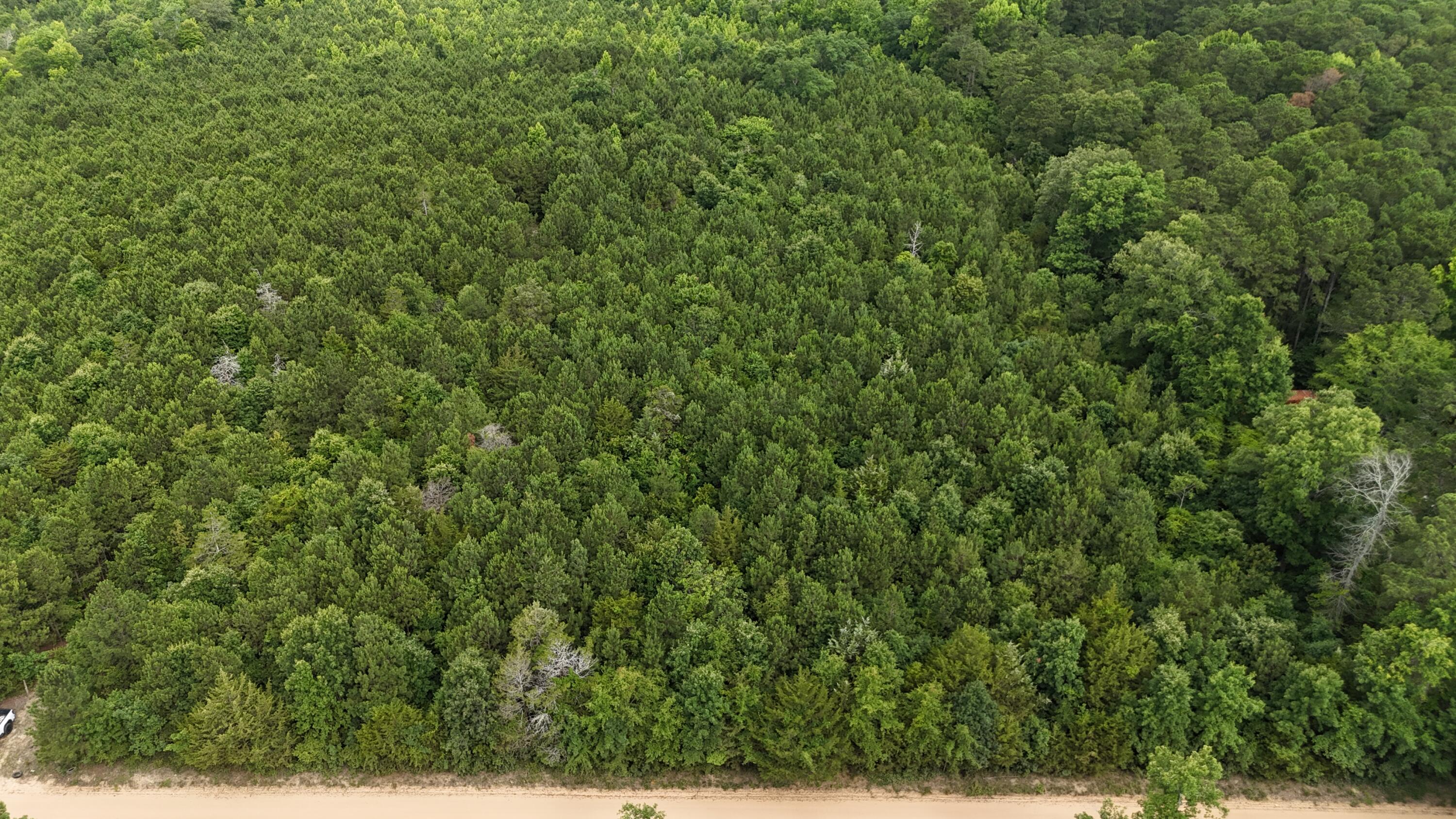 0 Stagecoach Rd Exn Drive Thomson, GA 30824 - Photo 18 of 22 DJI_20240603095517_0037_D