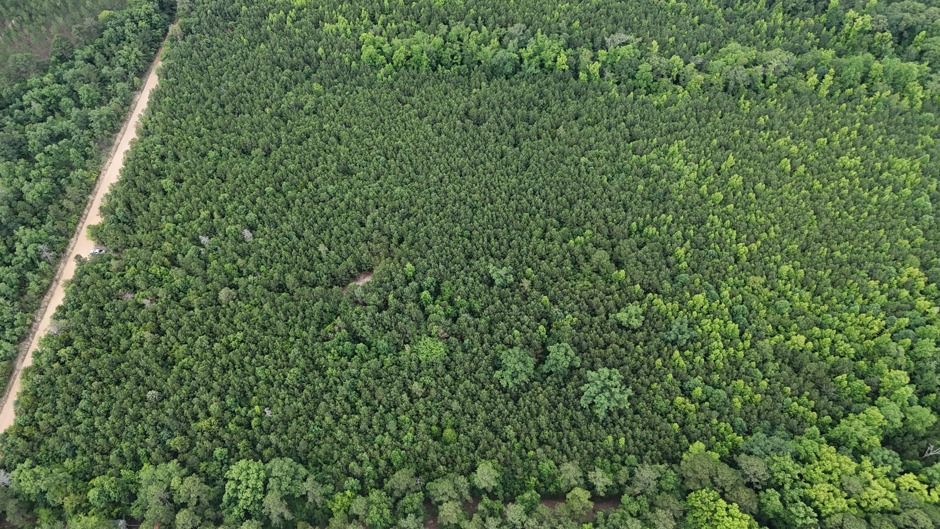 0 Stagecoach Rd Exn Drive Thomson, GA 30824 - Photo 20 of 22 DJI_20240603095837_0045_D